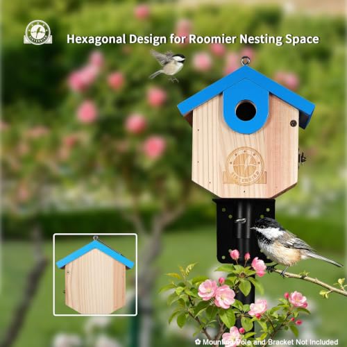 SISTERBIRD Wren Bird Houses for Outside, Bird House Warming Gifts, Blue - color: Blue