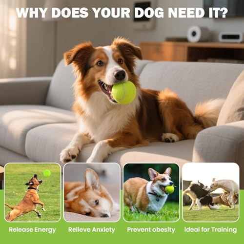 FURWEY Yellow Tennis Balls for Dogs, 2.5 inches, 16 Pack, Non Squeaky - color: yellow, size: 16P
