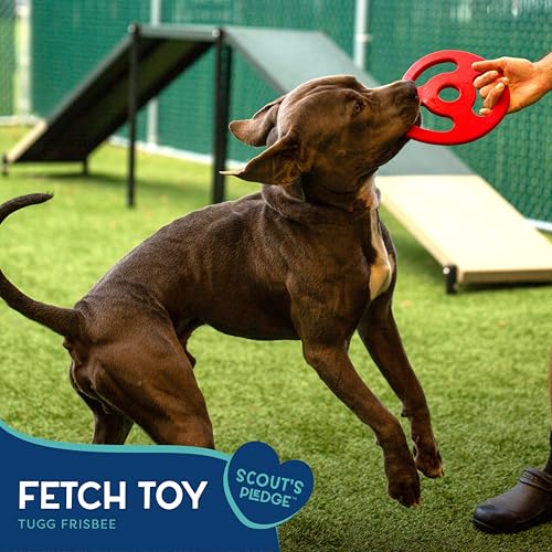 Scout Tugg Frisbee - Dog Toy for Tugging, Chewing & Fetch - Aggressive Chew Toy for Medium & Large Dogs - style: Tugg Frisbee