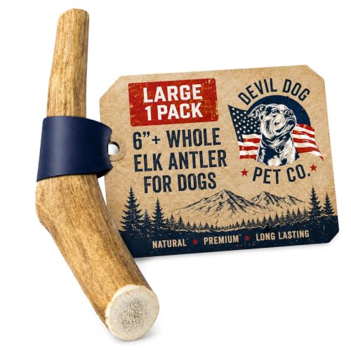 Devil Dog Pet Co Whole Elk Antlers for Dogs, Large, Aggressive Chewers - style: WHOLE - Large - 1 Pack