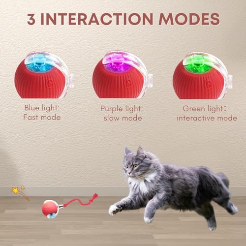 Rocfish Interactive Cat Toys for Indoor Cats, Automatic Cat Ball Toy - color: red01, size: 01