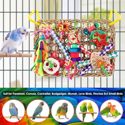 KATUMO Bird Toys, Large Bird Foraging Wall Toy, Woven Climbing Hammock Mat - color: Color