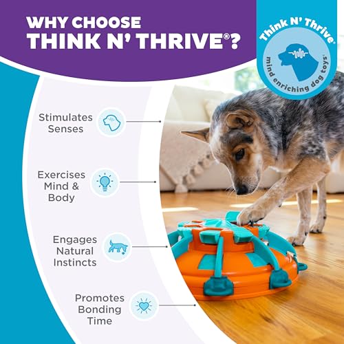 Outward Hound Nina Ottosson Tower of Treats Dog Toy Treat Puzzle, 12.5"