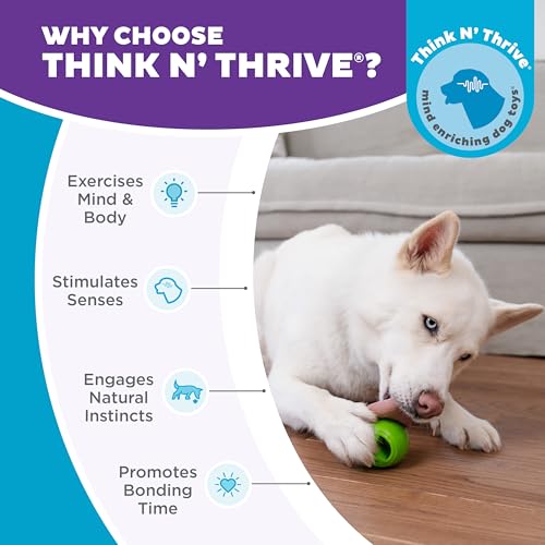 Outward Hound Nooks Peace Interactive Durable Treat-Dispensing Dog Toy, Stuffable Puzzle Ball for Solo Play or Pair with Large Snoop, Mint-Scented, No BPA - color: Green Nook (Works with Large Snoop)