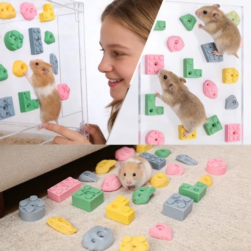 Hamster Climbing Wall Toys, DIY Colorful Rock with Traceless Adhesive, Small Animal Cage Accessories & Exercise Enrichment for Syrian, Dwarf Hamsters, Gerbils, Guinea Pigs (Random 12 pcs)