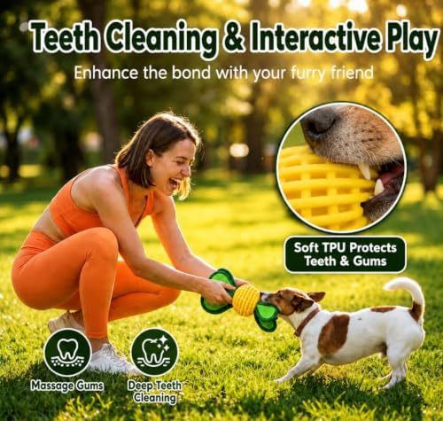 2-Pack Durable Dog Chew Balls for Aggressive Chewers