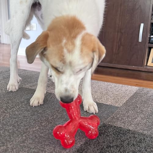 SPOT Play Strong Trident Bone - Durable TPR Long Lasting Dog Chew for Aggressive Chewers, Hole for Treats, Virtually Indestructible Toy for Large Dogs & Puppies up to 90lbs - 6 inch - style: Trident Bone