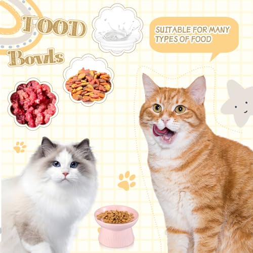 Layhit 2 Pack Raised Slow Feeder Cat Bowls Ceramic Elevated Cat Food Bowls Anti Vomiting Slow Feeder for Dog and Kitten for Dry and Wet Food(Blue, Pink) - color: Blue, Pink