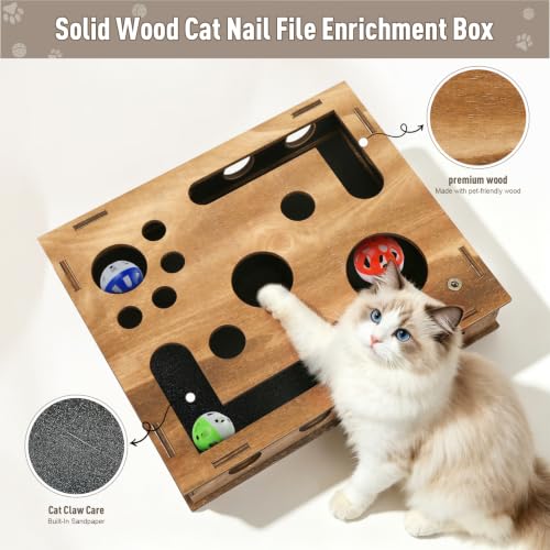 Zayeemi Cat Scratching Educational Box Wooden Interactive Toy Spring Feather Teasing Cat Wand Bell Ball for Indoor Cat Fun