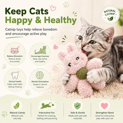Cat Toys with Catnip Kitten Chew Bite Supplies Boredom Relief Fluffy Kitty Teeth Cleaning Chewing Cat Lovers Interactive Plush Gift (Rabbit&Bear) - color: Rabbit&Bear