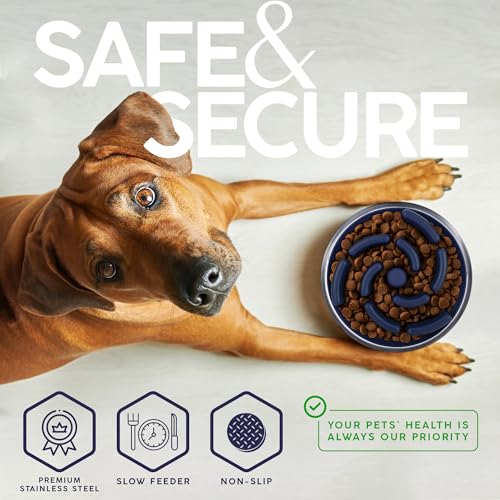 FAHRMOSIS 32 Oz Dog Bowl with Slow Feeder Insert Stainless Steel Pet Water Bowl for Medium & Large Breed Non Slip Rubber Base & Plastic Puzzle Feeder - Navy Blue - color: Navy Blue, size: 32 OZ