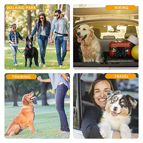 Dog Treat Pouch for Pet Training Kit, 3-Way Wear Bag with 2 Clickers & Bowl - color: Black