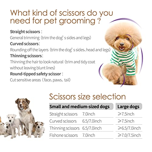 Professional Dog Grooming Scissors Straight 7" Pet Grooming Shears for Cutting Small Dogs Cat Thick Hair Japan 440C Stainless Steel Right Handed(7 in Straight, Gold) - size: 7 inch, style: Straight