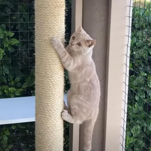 164 Feet Sisal Rope for Cat Tree & Scratching Post Replacement - color: 1/6 inch (4mm) Light Color