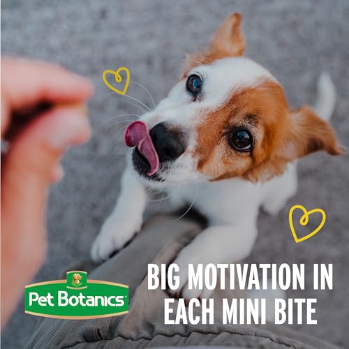Pet Botanics 4 oz. Pouch Training Rewards Mini Soft & Chewy, Chicken Flavor, with 200 Treats Per Bag, The Choice of Top Trainers - size: 4 Ounce (Pack of 1)