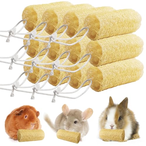 12 Pcs Rabbit Chew Toys Natural Bunny Loofah Chew Toy Chinchilla Teeth Grinding Toys Guinea Pig Fibre-Rich Treats Enrichment Bunny Accessories for Rabbits Hamster (S) - color: S- (12 PCS)