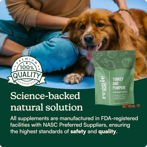 Reggie Dog Training Treats with Enrichment Toy | Turkey & Pumpkin Dog Treats + Forager Ball | Low-Calorie High-Protein Rewards | Mental Stimulation for Dogs | 340 Treats - size: Forager Ball - Turkey & Pumpkin