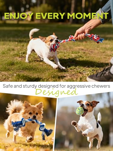 TwoEar Dog Rope Toy 9 Pack - Puppy Teething Toys for Small Medium Breed - color: Blue, size: Mini/Small