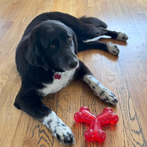 SPOT Play Strong Trident Bone - Durable TPR Long Lasting Dog Chew for Aggressive Chewers, Hole for Treats, Virtually Indestructible Toy for Large Dogs & Puppies up to 90lbs - 6 inch - style: Trident Bone