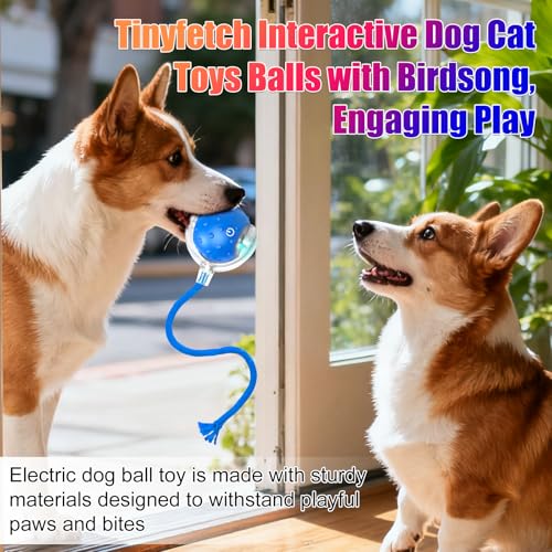 Tiny Fetch Dog Toy, Tinyfetch Interactive Dog Cat Toys Balls with Birdsong, 360° Smart Automatic Rolling Electric Dog Ball Toy, Fast Moving Balls Toys for Pets (Blue) - color: blue