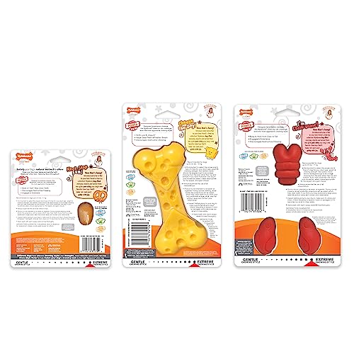 Nylabone Power Chew Toy Bundle, Dog Toys for Aggressive Chewers, 3 Pack - color: Broccoli 3 Pack, size: Small