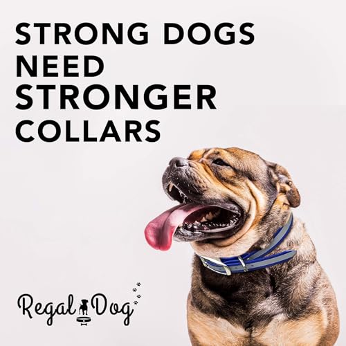 Regal Dog Products Reflective Dog Collar, Durable Metal Buckle, Small Blue - color: Blue, size: Small
