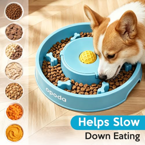 Slow Feeder Dog Bowls, Fun Slow Feeding & Lick Bowl with Rolling Ball