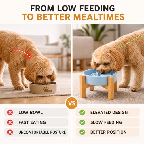 Elevated Ceramic Slow Feeder Dog Bowls Anti-Choking Slow Feeding for Small&Medium Size Anti-Slip Non-Lead & Toxic Durable Easy to Clean Maze Slow Feeder Bowl（8.26in Mint Blue Stars Pattern） - color: Mint Blue Stars Pattern, size: 1.6Cup