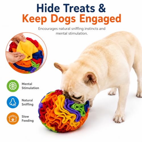 Dog Training Starter Kit with 7.9-Inch (20 cm) Snuffle Ball, Clicker & Treat Pouch