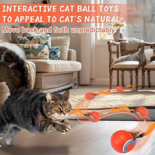 BABORUI 2Pack Interactive Cat Toy Ball - Automatic Interactive Cat Toys for Indoor Cats with 3 Tails, 2 Speeds Rechargeable Enrichment for Small/Medium/Large to Keep Them Busy - color: 2 Pack Blue+Orange