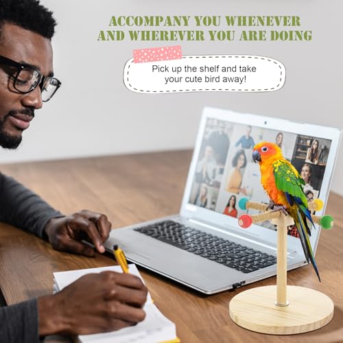 3 Pcs Bird Training Stand Kit, Parrot Training Clicker Portable Tabletop Bird Perch and Target Stick, Wooden Spin Perch Clickers with Wrist Strap for Parakeet Conure Lovebird Cockatiel (Spin) - style: Spin