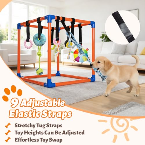Puppy Play Gym with 9 Hanging Toys for Small Dogs, PVC Frame with Bungee Straps, Interactive Indoor Jungle Playground for Entertainment, Teething and Mental Stimulation - color: Orange, size: 9 Toys