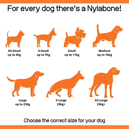 Nylabone Flex Moderate Chew Dog Toy Chicken Small/Regular (1 Count) (Pack of 4) - size: Small (Pack of 4)