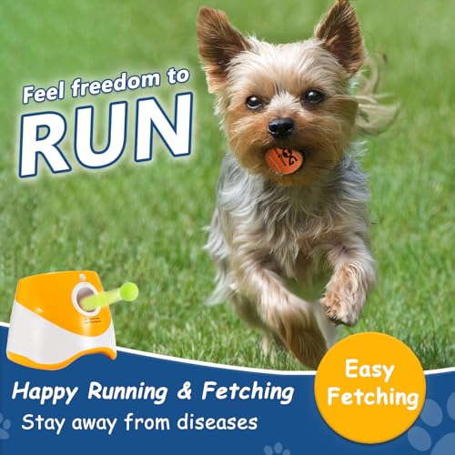 INSUM Small Tennis Balls for Dogs - 2 Inch 40 Pack Squeaky Dog Balls - color: Yellow, size: Small - 40PK