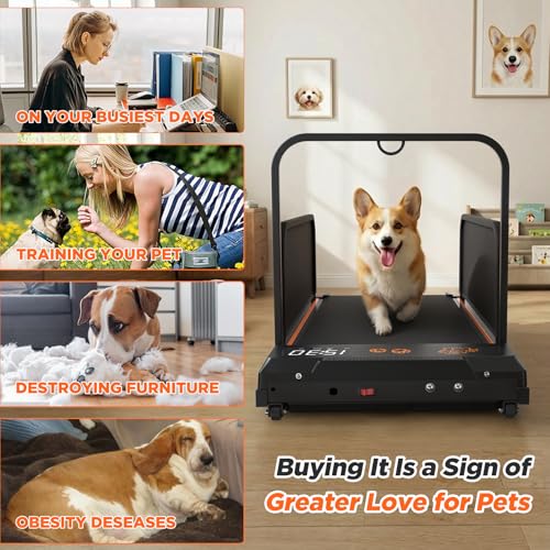 KEIKI Dog Treadmill for Small and Medium Breeds - color: Black Premium