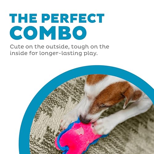 Outward Hound Durablez Minis Tough Chew Plush Squeaky Dog Toy, Pig, 6.8" - color: Pig