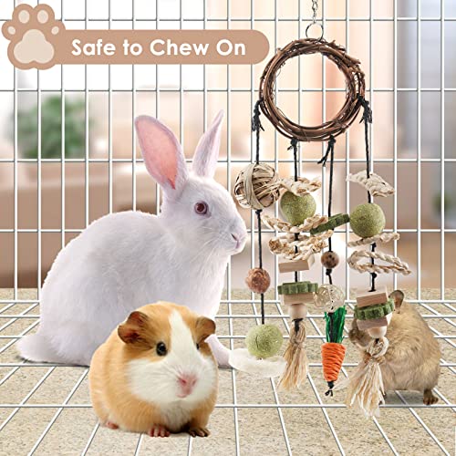 Bissap Bunny Chew Toy, Rabbits Cage Hanging Chew Toys and Treats Grapevine Wreaths Rattan Ring with Snacks for Guinea Pigs Chinchillas Hamsters Rats and Other Small Pets Teeth Grinding - size: 1 PCS