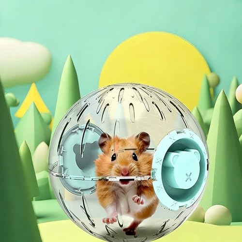7.9 Inch Clear Hamster Exercise Ball, Large Transparent Running Toy for Syrian & Dwarf Hamsters, Breathable Plastic Activity Ball for Small Pets (Green Lid)