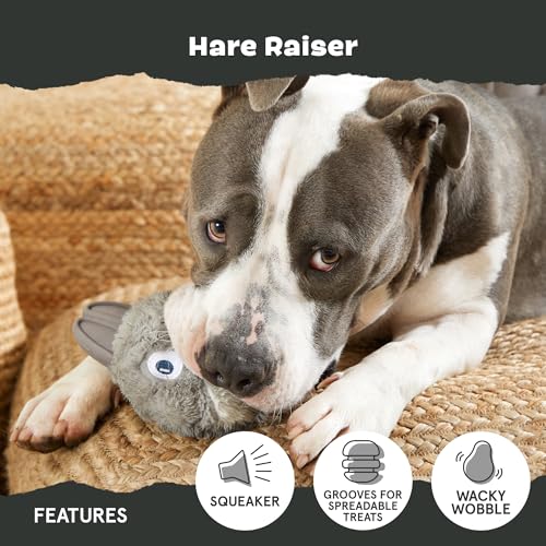BarkBox Hare Raiser Super Chewer - 2-in-1 - Toy for Medium to Large Dogs - color: Hare - Large