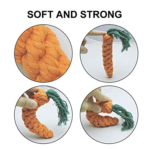 Andiker 3PCS Cotton Rope Puppy Teething & Training Durable Dog Plush Toys - Lion, Carrot & Duck Interactive Biting Rope Dog Chew Toys