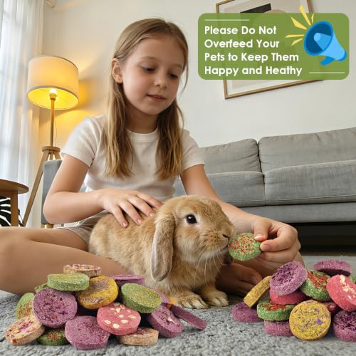 ERKOON 48Pcs Timothy Hay Cake Bunny Chew Toys, 100% Natural Handmade Small Animal Molar Treats, Timothy Grass Chews for Rabbit Guinea Pig Hamster Chinchilla Rat Gerbil Squirrel Teeth Grinding - size: 1.25 Pound (Pack of 1)