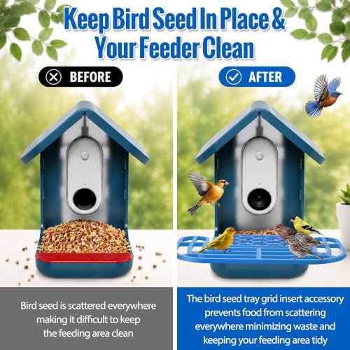 Saillong 2-in-1 Bird Feeder Kit, Compatible with BirdBuddy Feeder, Blue - color: Blue