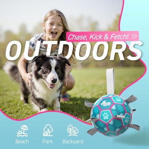 QDAN Dog Toys Soccer Ball with Straps, Pool Dog Water Toy, Outside Ball - color: Lake Blue, size: Medium Size 2 (6 Inch)
