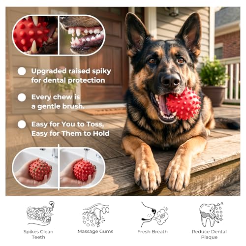 3.5''Durable Squeaky Dog Ball for 25-80lbs Aggressive Chewers - color: 1 PC-Beef-Red