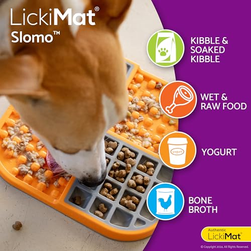 Lickimat Slomo, Dog Slow Feeding Lick Mat, Boredom Anxiety Reducer, Turquoise - color: Turquoise