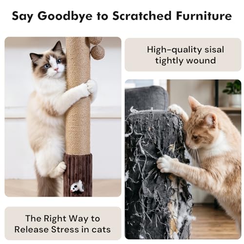 Woochpet 35"Cat Scratching Posts For Indoor Cat,Cat Scratcher With Cat Toys - color: Brown