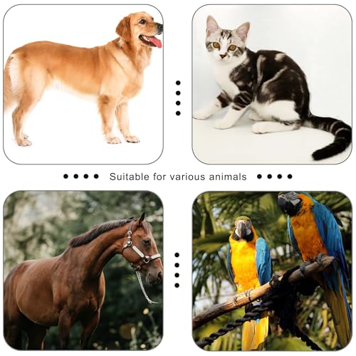 Pet Clicker for Dogs/Cats/Horses/Birds or Other Animals - Clickers for Training (Red) - style: Red