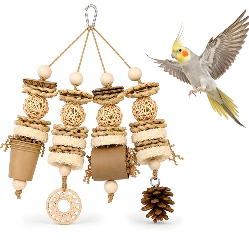 Parakeet Foraging Toy with Loofah & Pine Cone, Bird Chew Toy