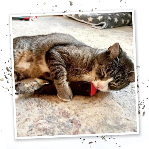 Meowijuana Catnip Cigar Cat Toy | Catnip & Valerian Root Plush Toy - color: Cigar