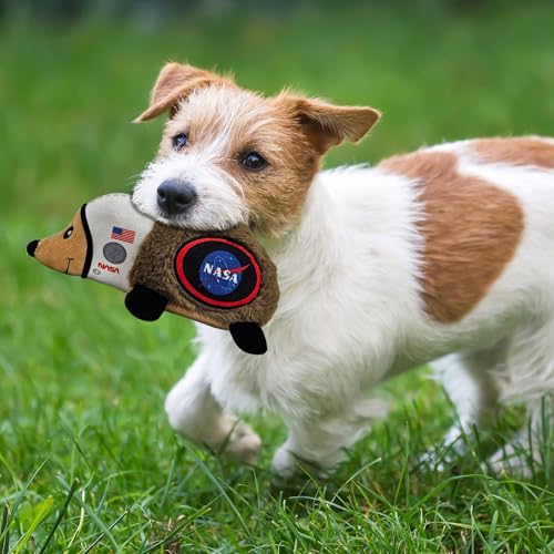 NASA Plush Hedgehog Toy for Dogs & Cats, Cool Soft Pet Toy for Fun and Interactive Play, Dog Chew Toy with Squeaker - style: Hedgehog Toy